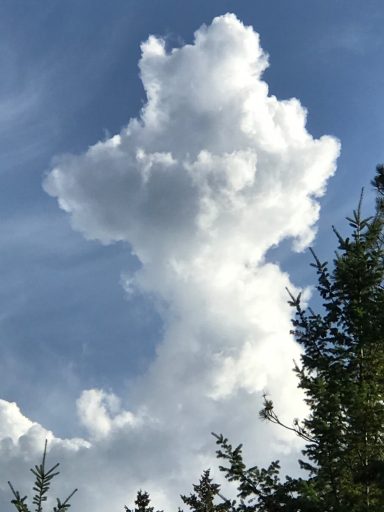 Cumulonimbus Clouds